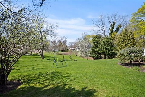 Yard