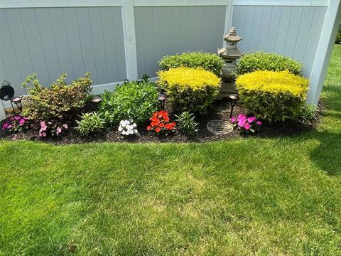 Yard