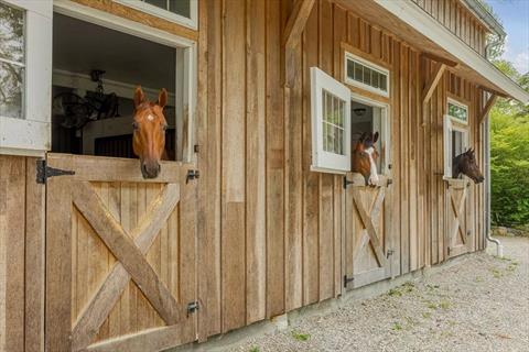 Stable
