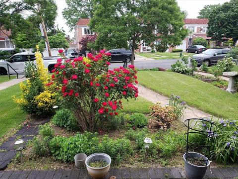 Yard