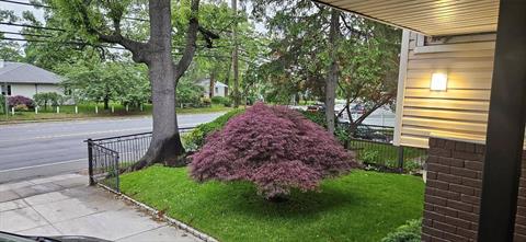 Yard