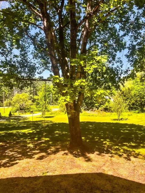 Yard