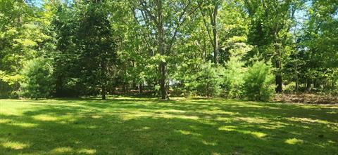 Yard