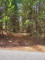Join the Emerald Green Community in highly sought after Rock Hill NY. This third of an acre paper lot is land locked, though it does have a roughed in access road and is only the 4th property back (so not far). Be the first to build in this section of the community and have the ability to join the Emerald Green HOA or stay separate to take care of things your way. This community has grown over the years and will continue to grow in beauty and popularity. With quick access to the highway and only an hour and half drive to NYC, this could be a property for the weekend, holidays, summer, or year round. Bring your imagination and turn this property into your prized possession. Near many lakes, hiking trails, casino, music entertainment to name a few.