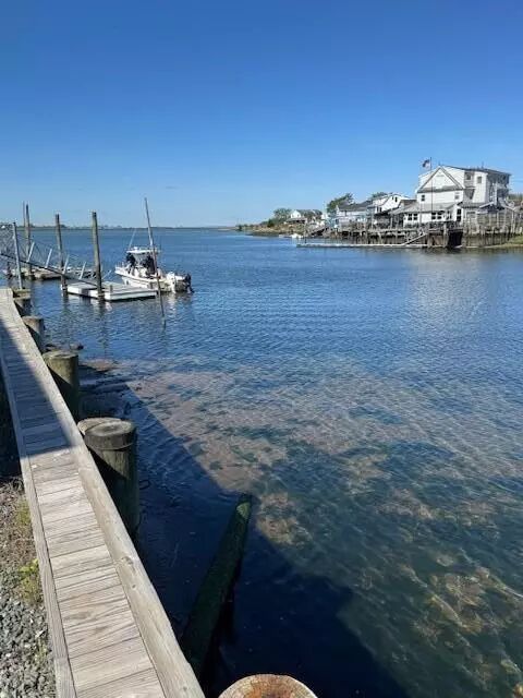 Dock