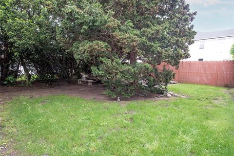 Yard