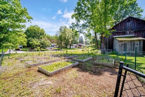 Yard