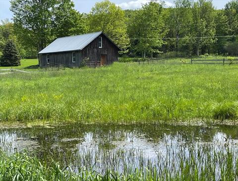 Property Picture