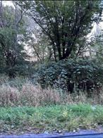 Quiet and peaceful on this four acre parcel located in the Minisink Valley School District. over 300 feet of road frontage. The property is located in a residential area wooded and surrouded by beautiful homes. Minutes to the Town of Greenville Park, Easy access to Route 84, within driving distance to NYC. Land is nearby the tri-state borders of NY, NJ and PA.