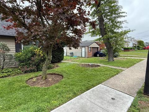 Yard