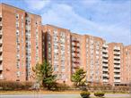 Wonderful opportunity in Parkview to make it your own! Many new updates and recent work done in this light and bright one bedroom apartment: In the Kitchen, the GE gas stove was recently serviced to make it as good as new, places that needed new grout got it, and there is a new Kohler faucet with extension. In the LARGE Bedroom, there is a brand new high end (expensive!) Midea window air conditioning unit - SO quiet and efficient. In the Full Bathroom, there is a newer residential toilet, brand new showerhead, and the large bathtub has been completely glazed. There are many great features inside and out as well: There are two ceiling fans (in the Dining Area and Bedroom), screens on all the windows, and more closets and storage throughout than expected! Parkview is convenient to many highways and public transportation, and close to schools, parks, and shopping at the Cross County Shopping Center and Central Park Avenue. Come see this well maintained, desirable building and make this apartment your own!