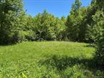 Located just outside the Village of Millbrook on a scenic gravel country road, this 23.49-acre parcel offers a picturesque setting for your dream retreat. The land features a mix of old wood forest and walking trails, bordered by charming stone walls and highlighted by a pair of peaceful ponds. A large barn and chicken coop remain on the property. Build your private weekend escape and explore the opportunity to purchase additional adjacent acreage.