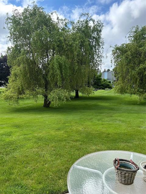 Yard