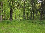 Beautiful wooded lot. This property boasts 1.9 acres of mature trees and natural beauty offers 128 feet of road frontage on Quaker Street in AR zone is waiting for your dream home.