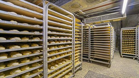 Wine Cellar