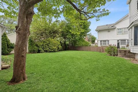 Yard