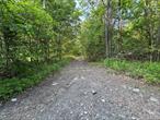 Looking for the privacy and/or seclusion? This might be it! Raw land located off the road in Plattekill with dirt access road just off Rt32 and New Unionville Rd. Great for building a new home, or putting on a modular, has remants of previous dwelling. The owner also has adjacent 3.0 ac lot. - can be sold together.