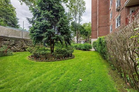 Yard