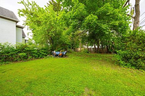 Yard