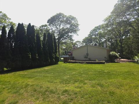 Yard