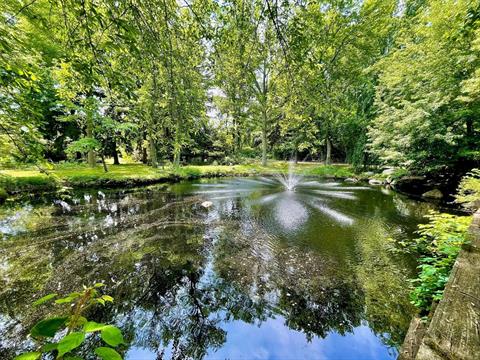 Pond