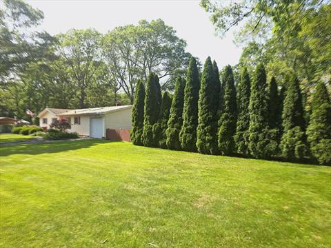 Yard