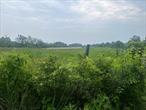 Private 172 acres with open fields, ideal for farming and recreation. Could also work for a residential development. Close to Kinderhook and easy commute to Albany.