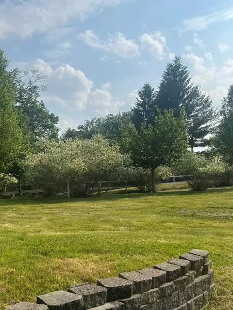 Yard