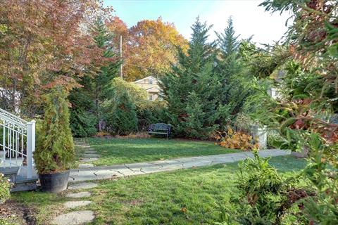 Yard