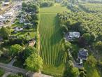 Turn-key 7-acre vineyard that you&rsquo;ve been dreaming of in Southold! Perfectly situated near the village and shops. The vines are in their prime and have been meticulously maintained. Planted in 2006 is 2.2 Acres of Chardonnay and 2.5 Acres of Merlot and 1/2 acre Muscat Ottonel was planted in 2019. Producing approximately 2-3 tons per acre of grapes annually, which could average about 600 cases of wine. Fully deer fenced, irrigated by well water, bird netting and electric on site. This right-sized vineyard may be just what you need to create your first vintage or add an additional fruit source to your existing farm operation. This farm has all development rights sold and is for agricultural use only.