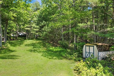 Yard