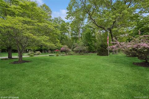 Yard