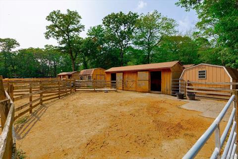 Stable