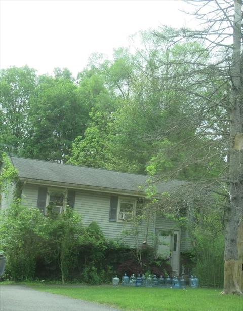 Front of Structure