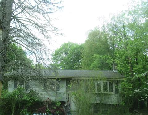 Property Picture