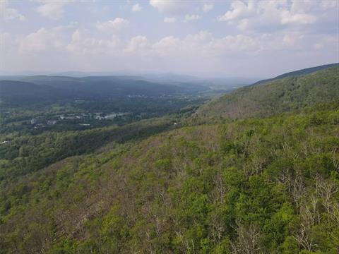 View