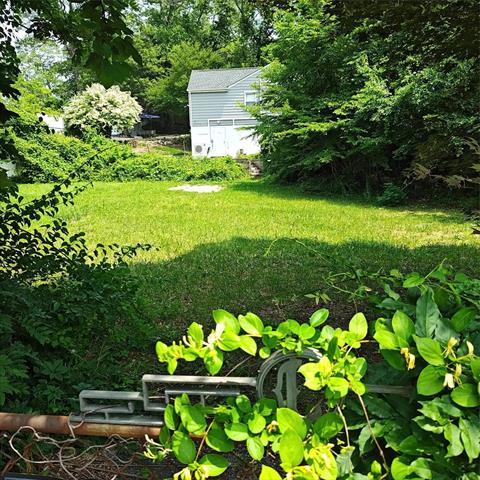 Yard