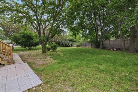 Yard