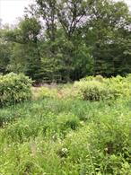Location Location 11 Acres an undiscovered Gem of a Find. enjoy Fishkill where it is happening. Come up for the week end stay a life time.