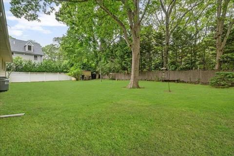 Yard