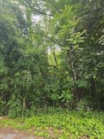 Commercial Property - Needs to go before planning board for site approval. Possible owner financing.