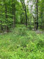 Location Location - just 10 minutes to Pine Bush NY. Beautiful Homes in this area. drive way area. slopes up to the main private and secluded 15 Acres home site. Country life style living, yet minutes from restaurants, shopping, schools. Contractors put this one on your bucket list, will not last long. Some one once said, come up for a week end. stay a life time. Beautiful area, beautiful Pine Bush New York.