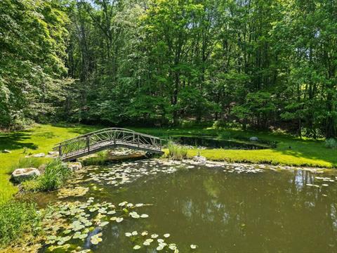 Pond