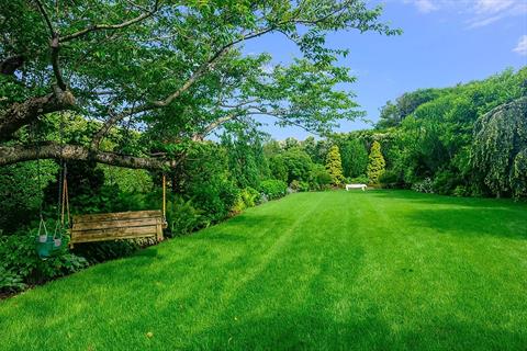 Yard