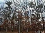 Great Opportunity for Builders/Developers- 2 Commercial Lots For Sale! Parcels (S0200-974-70-11-00-007-000 and S0200-974-11-00-006-000) Next to Each Other - The Lots are Across The Street From 3 Different Schools Total Acreage .42 (Total sq ft:18295). Offered As-Is, presenting a unique opportunity for builders to bring their vision to life.According to the townâ€™s zoning code, in a J-6 district you&rsquo;re allowed to have a mix of commercial and civic activities, including?Retail shops and personal service stores Restaurants and bars/taverns/night clubs, Offices and banks (with or without drive-through)Live performance venues (community theater), Museums or cultural centers, Artist studios, billiard halls, indoor recreation, Health clubs, private or non-degree schoolsChurches, libraries, municipal buildingsThis zoning is meant to foster vibrant, walkable downtowns with a blend of storefronts, services, entertainment, and civic functions.