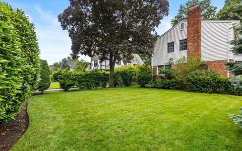 Yard