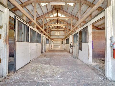 Stable