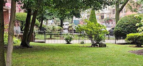 Yard