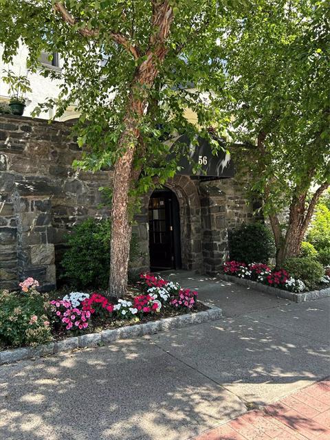 Front of Structure