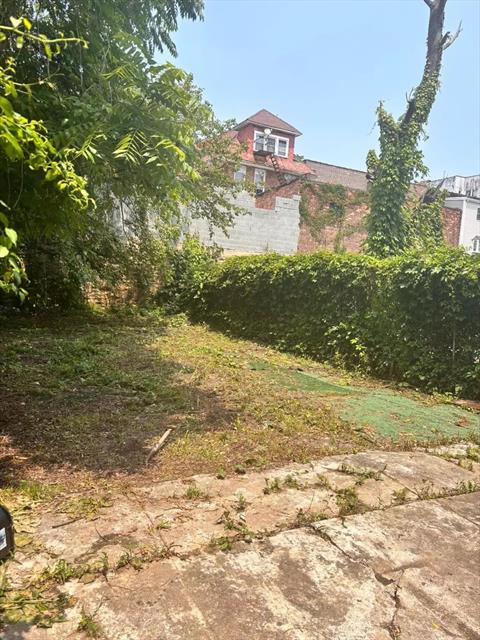 Yard